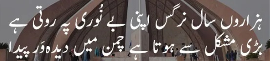 allama iqbal essay in urdu for grade 3
